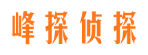 山南市私家侦探